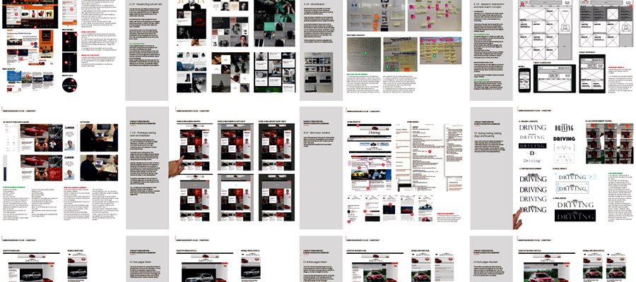 Portfolio - drivingcasestudy